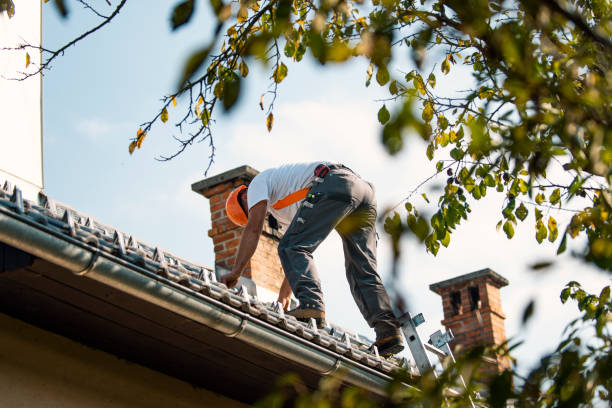 Best Storm Damage Roof Repair  in Brandon, SD